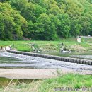 경안천누리길 이미지