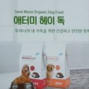 오롯이;독 이미지