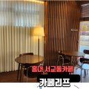 카페리솔트 | 홍대 서교동 카페 카페리프 시그니처 바닐라크림 맛집 내돈내산 솔직후기