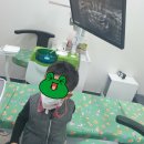 연세도아소아치과치과의원 네이버블로그