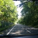 고원목장(2) 이미지