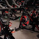 클로바피트니스 이미지