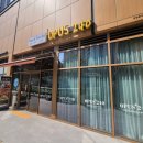 4673 | 하남 감이동 맛집 오퍼스240 아이랑 가기 좋은 양식 레스토랑 샐러드바 무제한 완벽 후기