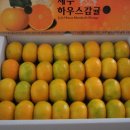 제주전통하우스 이미지