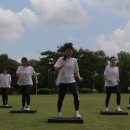 스텝박스 체조 Daum카페