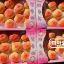 종광농장 네이버블로그