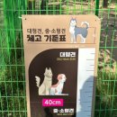 축구센터로 | 천안축구센터 애견운동장 이용후기