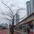 삼구트리니엔건너 이미지