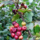 부경농장 이미지