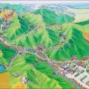 일표농장 Daum카페