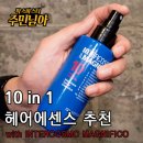 코스모인터