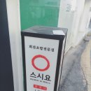 크로커다일춘천