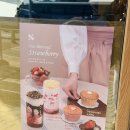 말통커피 | 광교 웰빙타운 텐퍼센트커피 광교웰빙점 후기