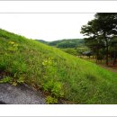 청송심씨 묘역 이미지