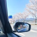 이플펜션 | 🐶강아지와 함께한 힐링 여행, 경산 스테이지이플 펜션💕