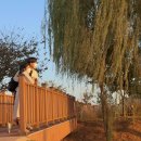 갯골수로2 이미지