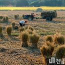 동막유기농장 이미지