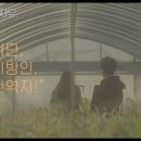 연출의 자유인 네이버블로그