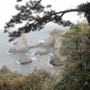 올레길 - 북구 동변로23길 13-21 | 올레길
