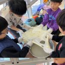 한국체대 금나래태권도 이미지