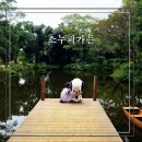 수목가든 | 제주 스누피가든 실내전시관부터 야외가든까지 완벽후기
