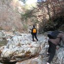 꿈꾸는유배지늡다리 이미지