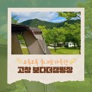 [전북 전주 근교 캠핑장/뷰 맛집] 풀내음 가득한 고창 보다더캠핑장 T8 이용후기