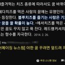 이상한 꿈을 꾸게 만드는 음식 이미지