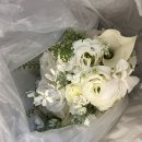 화이트엔 | 부산 별꽃 화이트엔 그린 부케 드레스샵으로 배송 후기