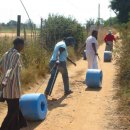 파파넷