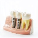 은하수치과의원 이미지