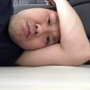 동그라미주 이미지