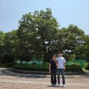 모롱지공원 이미지