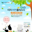 디 플러스 네이버블로그