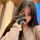 아이에프에프 이미지