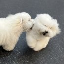 해산한의원 이미지