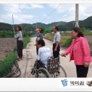 박춘택 농장 이미지