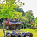 대숲사이 이미지