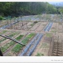 이정표농장 이미지