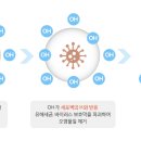 라이즈하남미사어학원