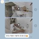 우아댕댕 이미지