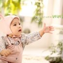 베베숲스튜디오