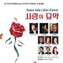 사랑의 묘약 이미지