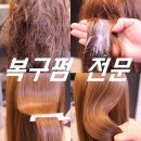 쟈르헤어 이미지