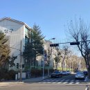 매화마을길(벌말로50번길) 이미지