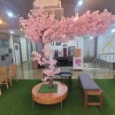 안경백화점 터미널점 이미지