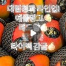 대림청과 - 서대문구 영천시장길 8 | 대림청과