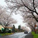 오등상동 경로당 이미지