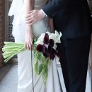 가죽으로 풀어보는 이야기: 손으로 만드는 인문학 | 꼭 해야 해 결혼반지? 응, 그래서 고른 블루필드비쥬(BLUPHILE DE BIJOUX)