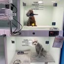 아프리카 동물병원 이미지